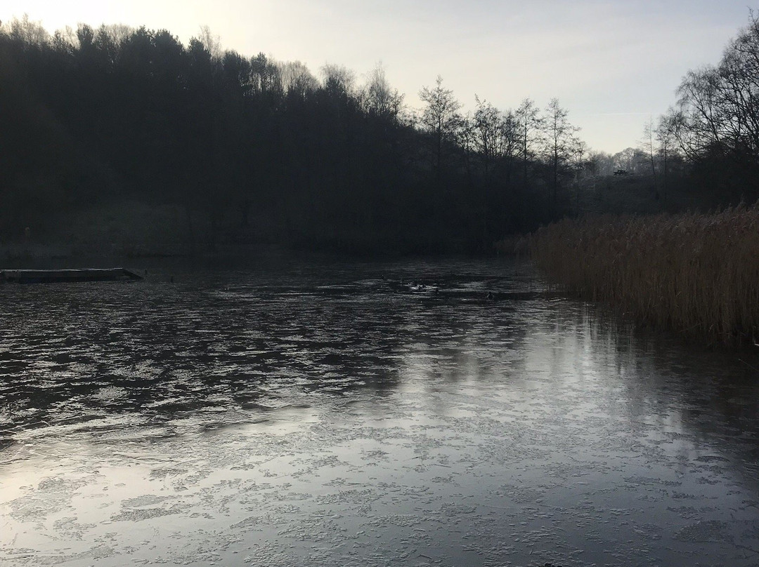 Baggeridge Country Park景点图片