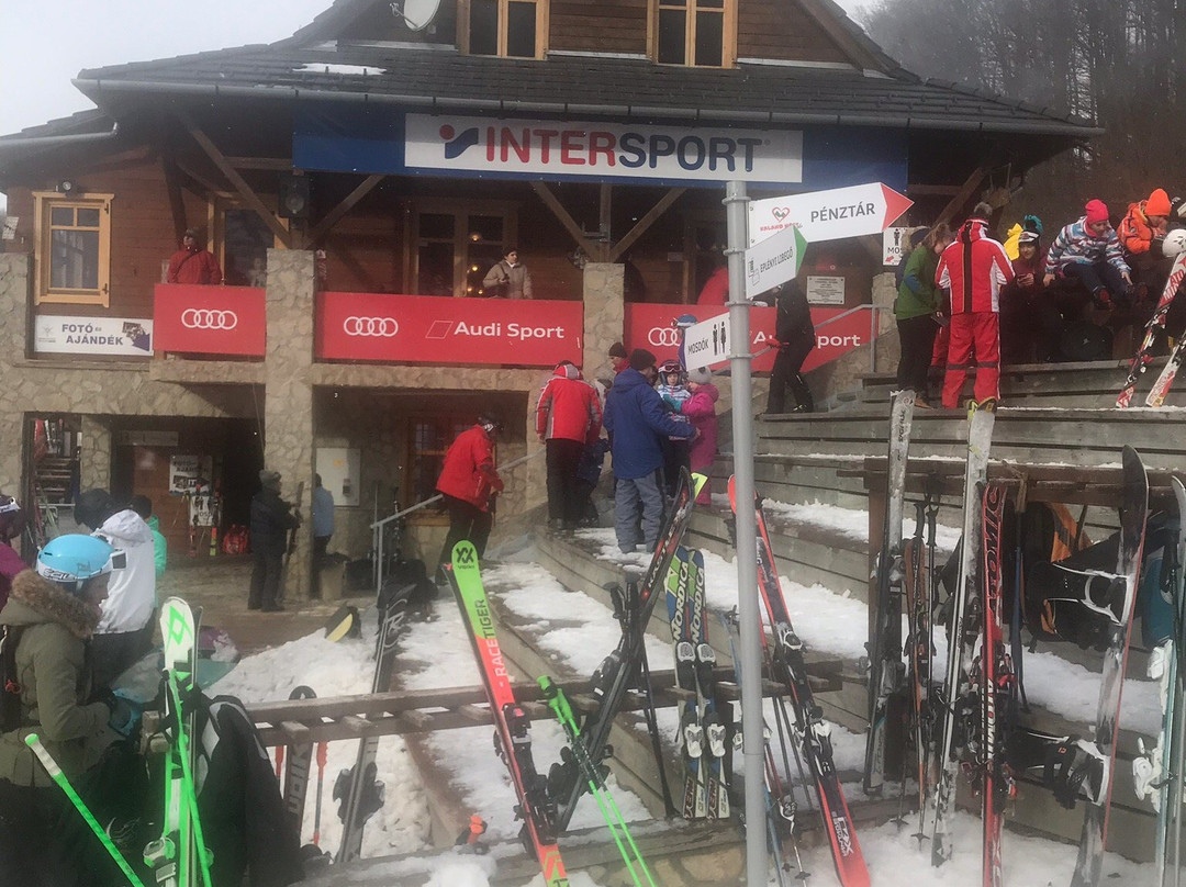 Intersport Ski Arena Eplény, Bike Arena景点图片