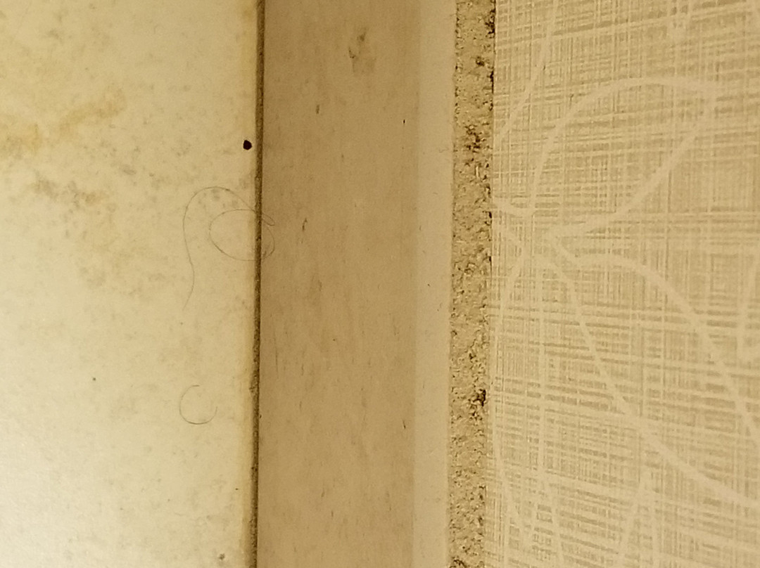 Hampton Inn Ozark主图