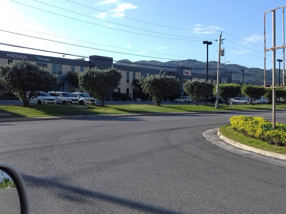 Thelga's Jamaica Tours-蒙特戈贝必去景点