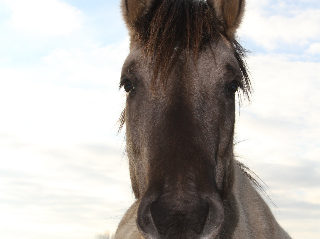 Lentevreugd-Wassenaar必去景点