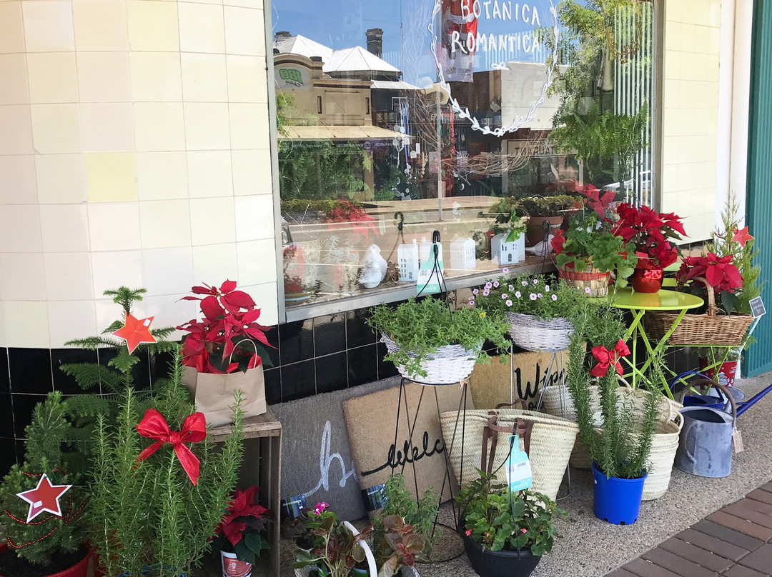 Botanica Romantica-Harden-Murrumburrah必去景点