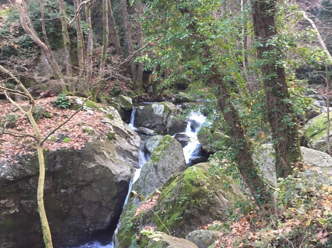 Kataraktes Kissou-Kissos必去景点