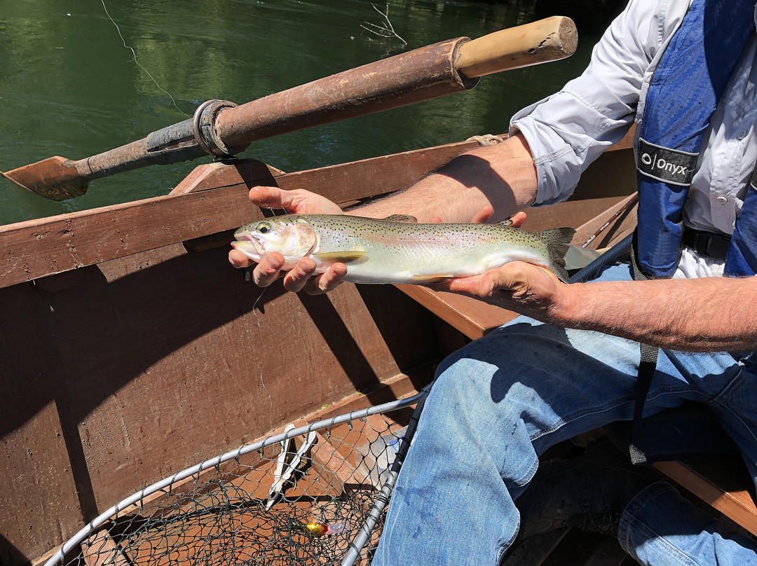 Turismo Kawen-普孔必去景点