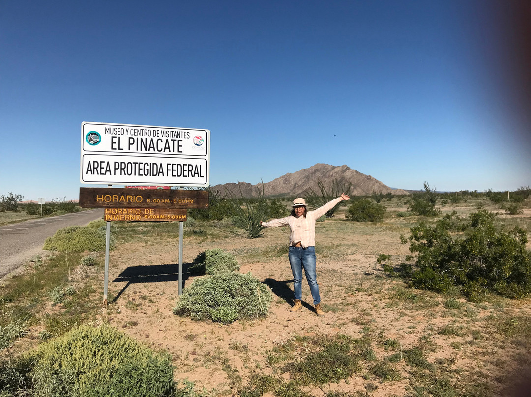 El Pinacate y Gran Desierto de Altar Biosphere Reserve景点图片