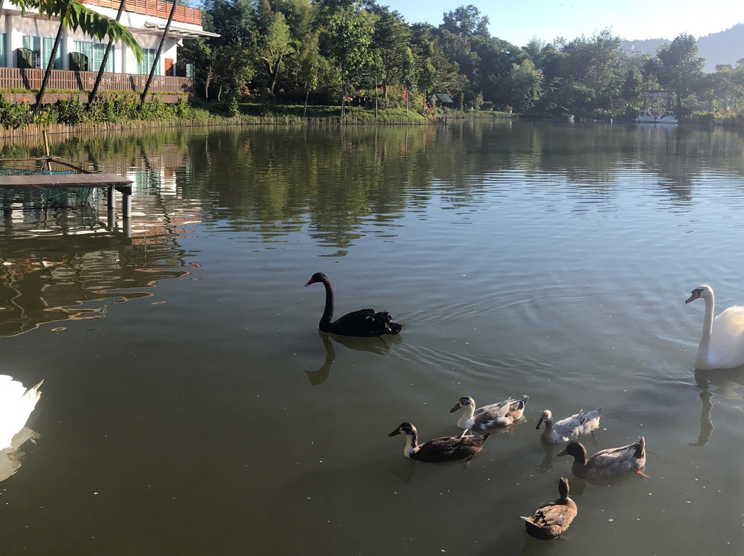 Swankiri Exclusive Farm Resort主图