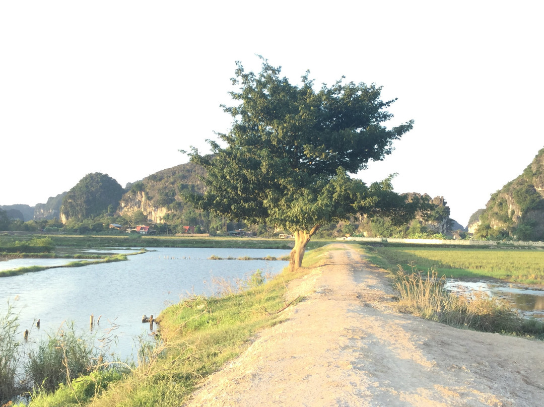 Trang An Secret Garden主图