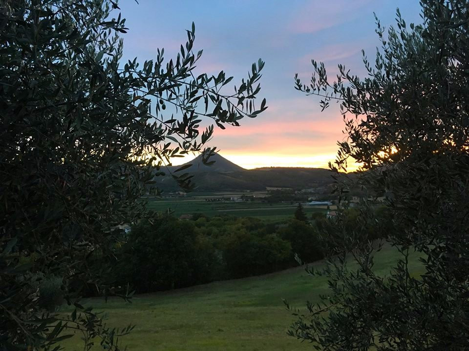 EVO del Borgo - Frantoio di Arquà Petrarca景点图片