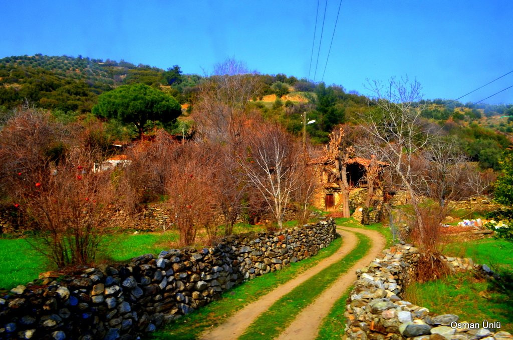 Caglayan Tabiat Parki景点图片