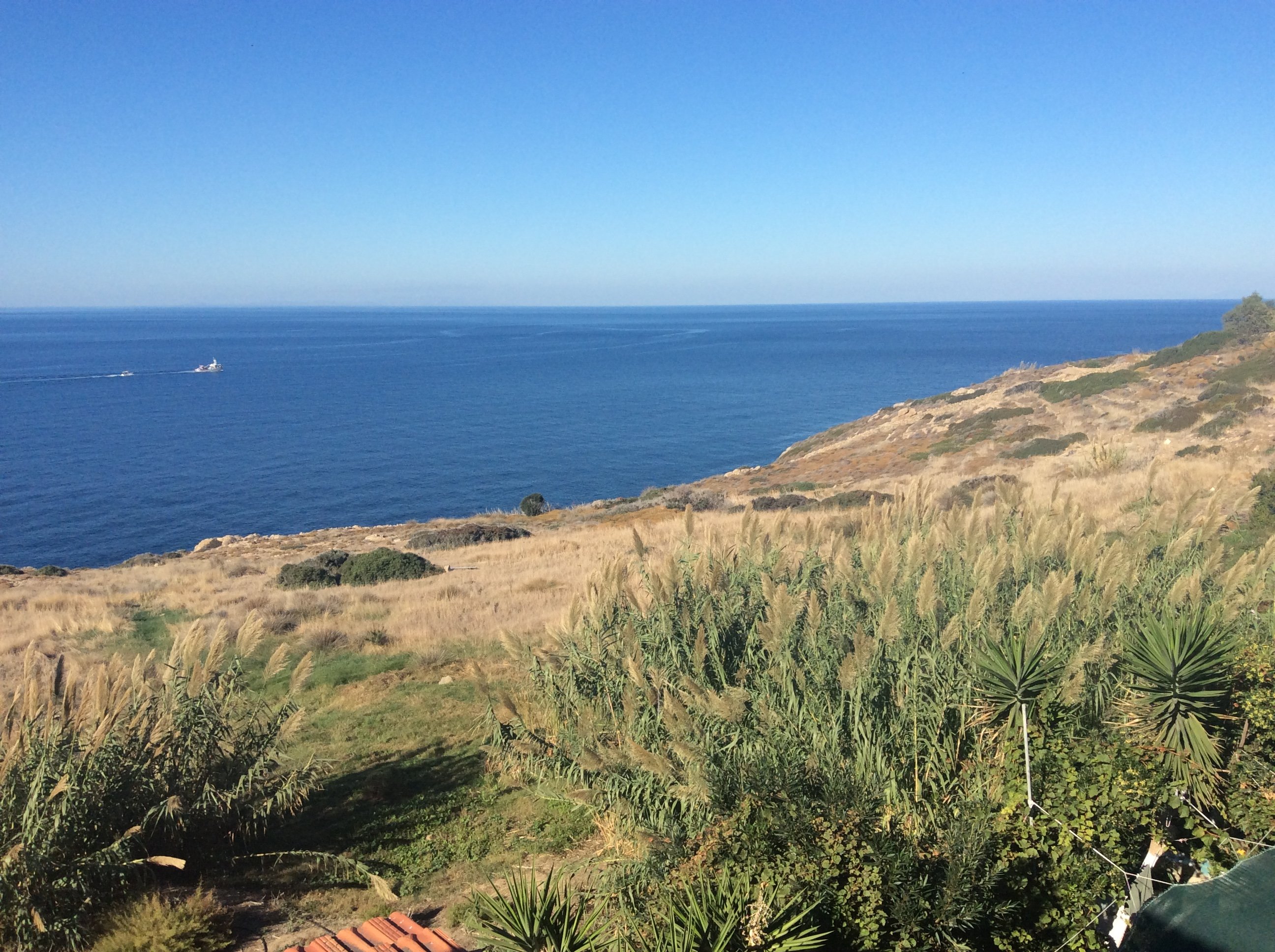 Thea's Inn of Ikaria-酒店景观