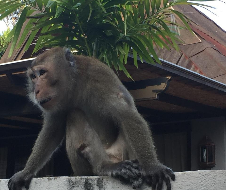 莱雷湾度假村主图