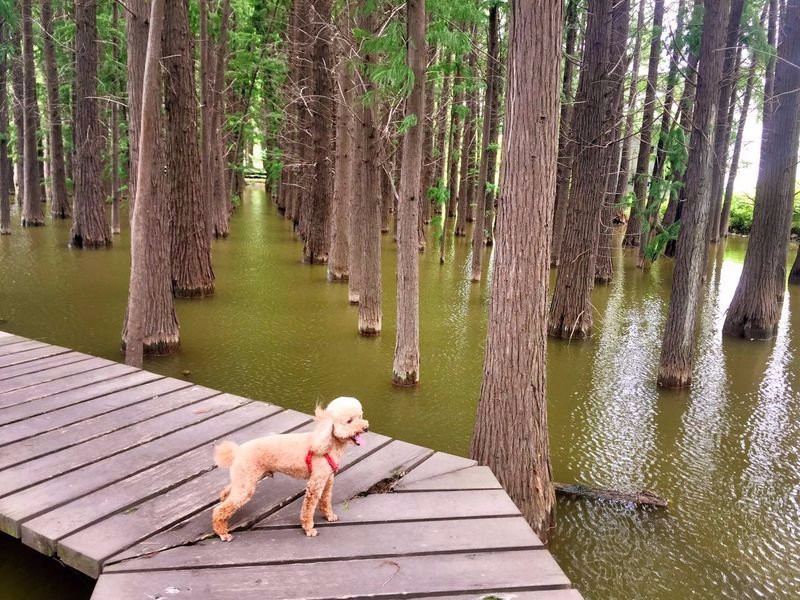 采石矶风景区-马鞍山市必去景点