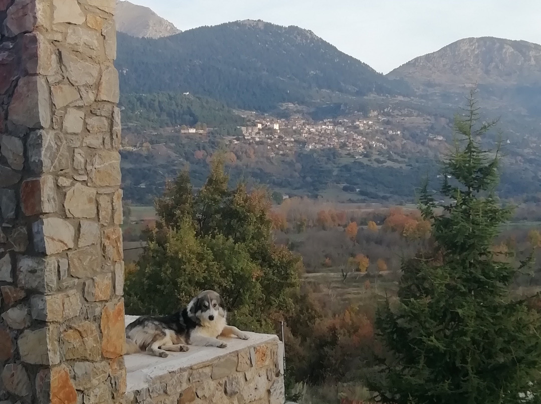 Efharis Guesthouse主图