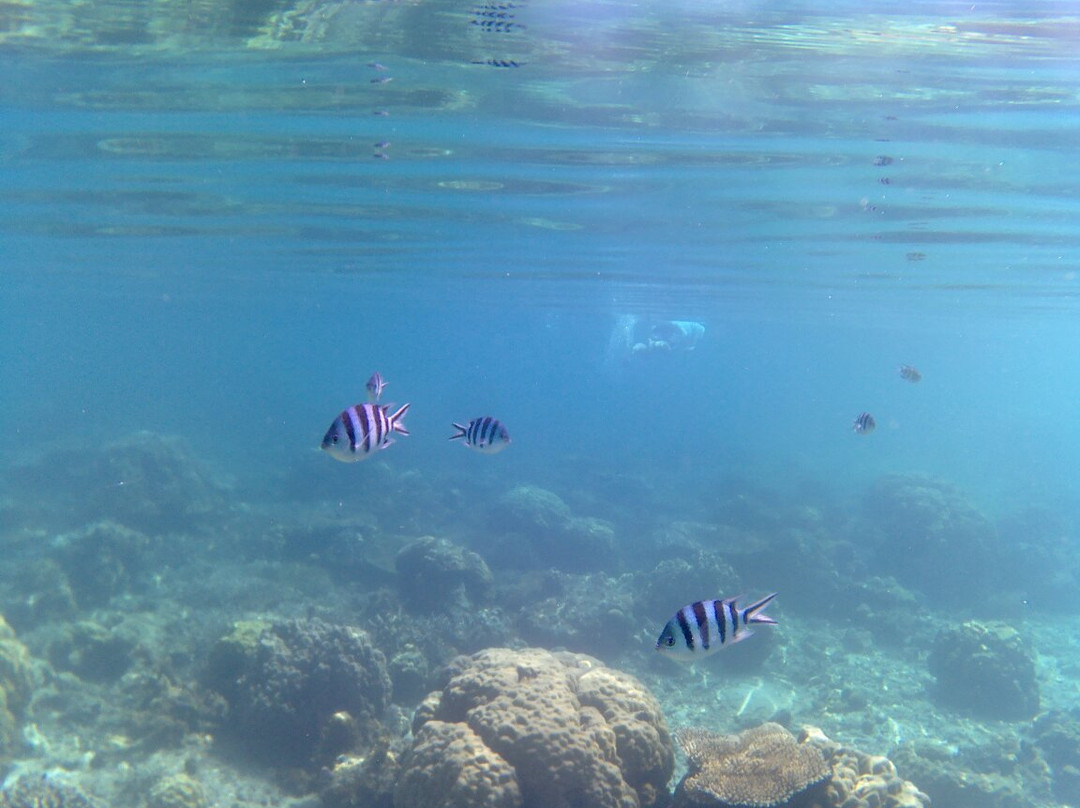 Small Lagoon Reef景点图片