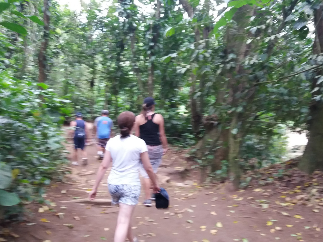 Gato Waterfall-伊利亚贝拉必去景点