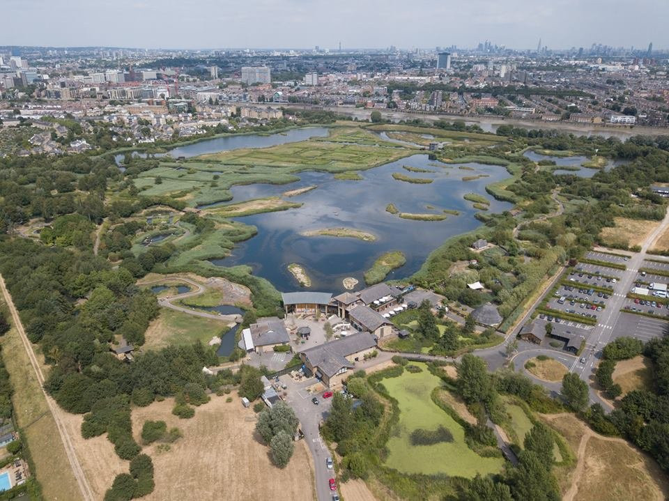 伦敦湿地公园景点图片