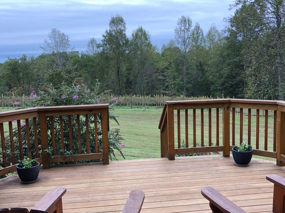 Arcady Vineyard Bed & Breakfast主图