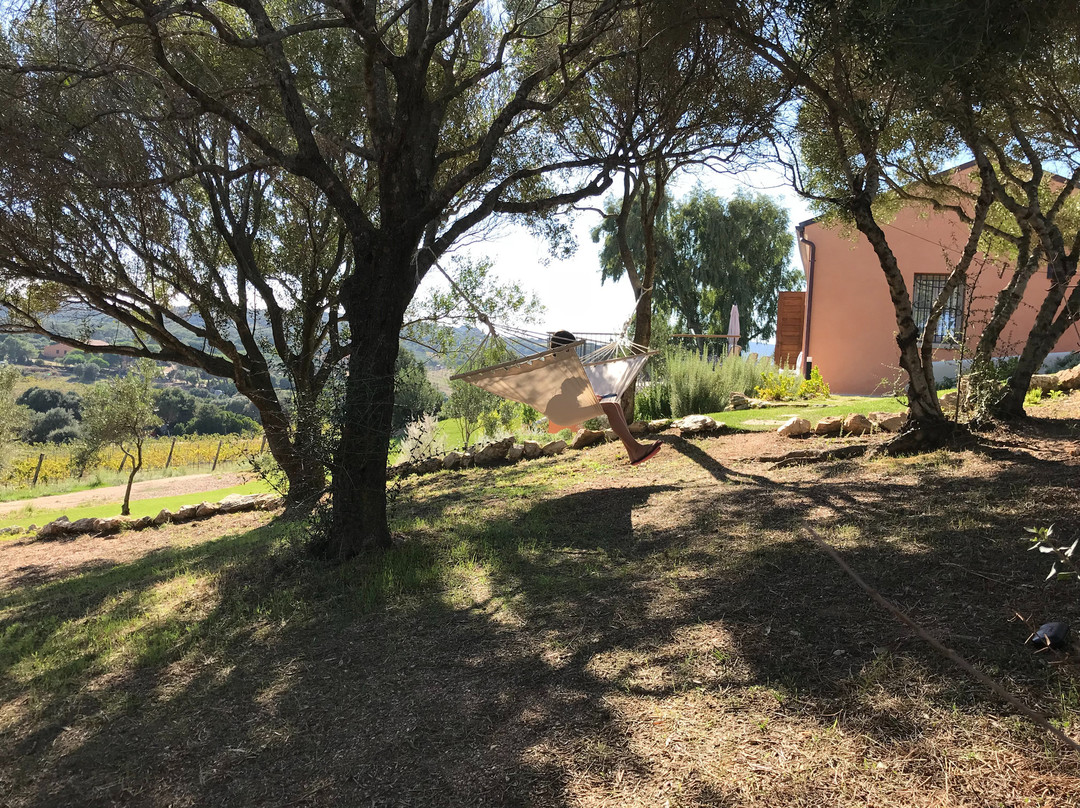 Petra Bianca Tenuta Agricola Biologica主图