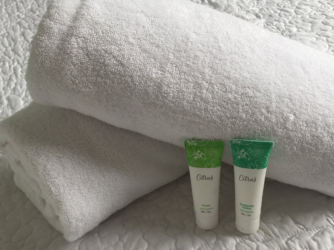 Hotel Santiago Yungay主图