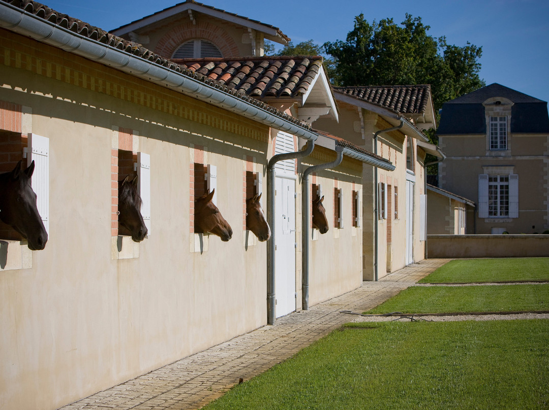 Chateau de Rouillac景点图片