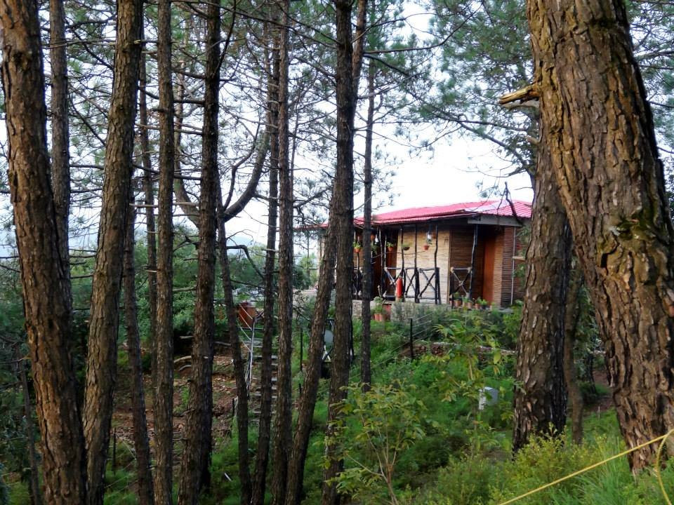 西姆拉阿莫德度假村主图