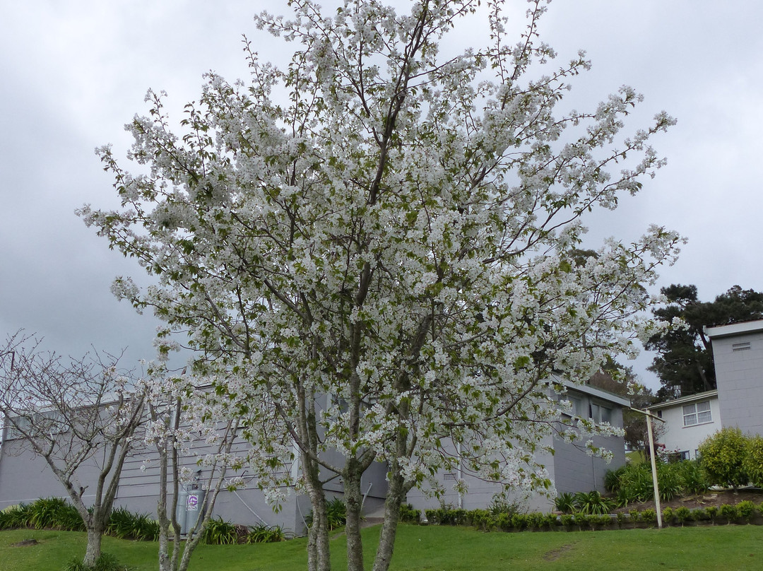 欧泊温泉假日公园主图