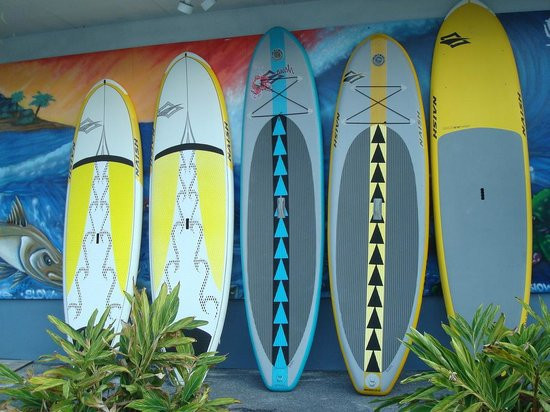 Lazy Turtle Beach Rentals-安娜玛丽亚岛必去景点