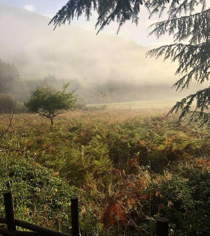 Paradise Village主图