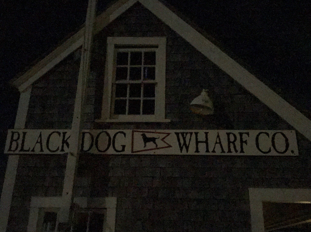 The Black Dog景点图片