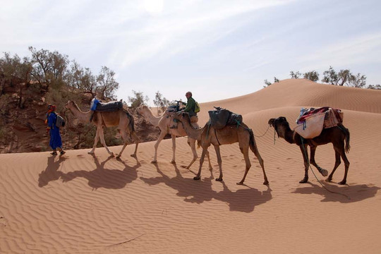 Maroc Trek Desert Emotion-迈哈米德必去景点