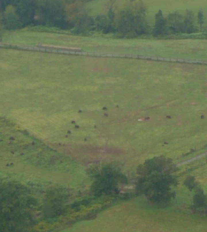 Deer Path Park景点图片