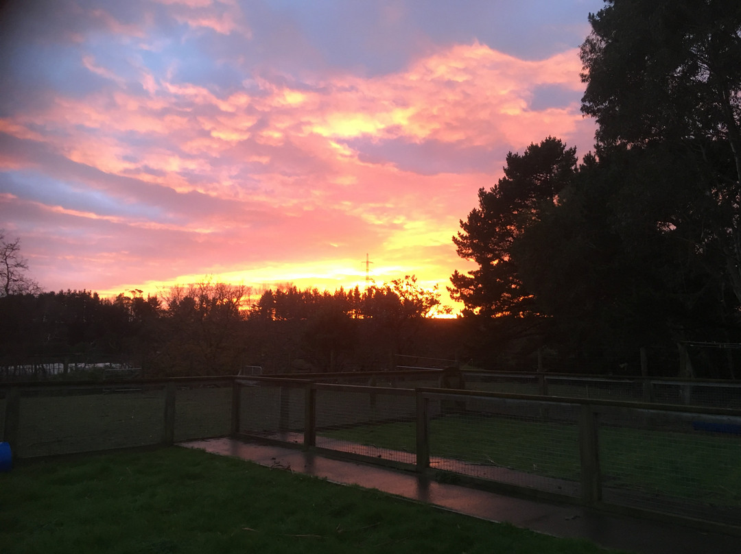 Hewitts Homestead主图