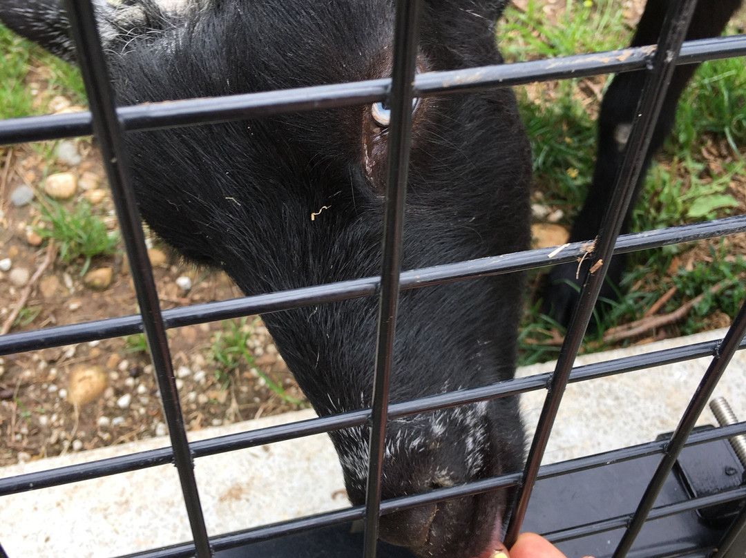 Bruemmer Park and Zoo-Kewaunee必去景点