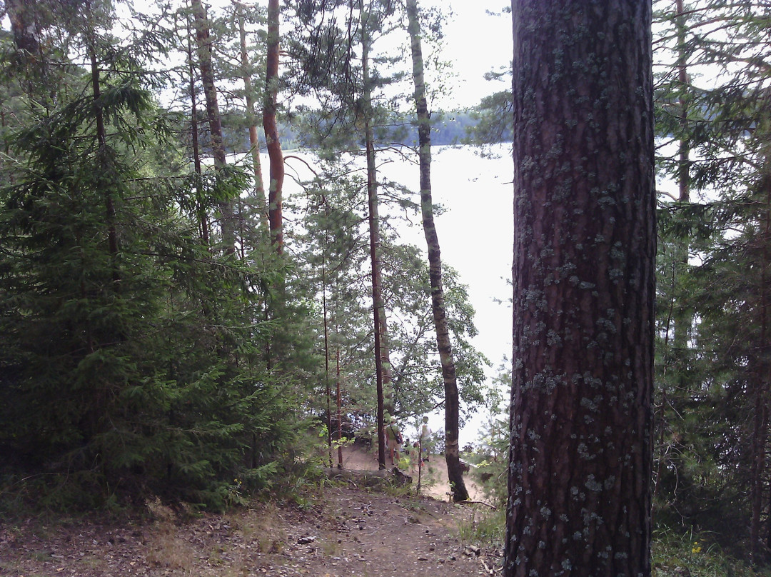 Demidovsky District旅游攻略图片