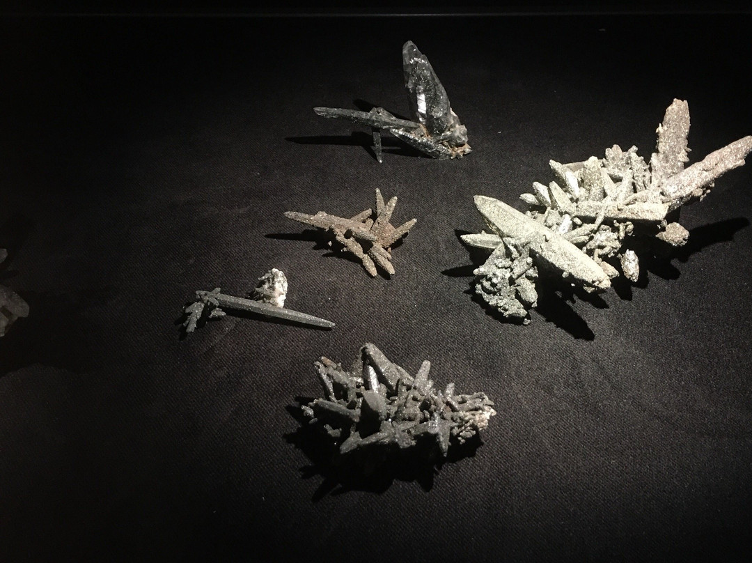 Museo Mineralogico Tiso景点图片