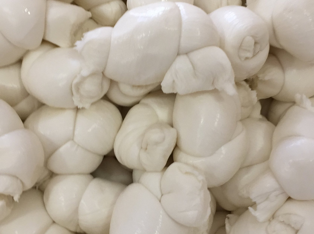 Caseificio f.lli viscanti-阿尔塔穆拉必去景点