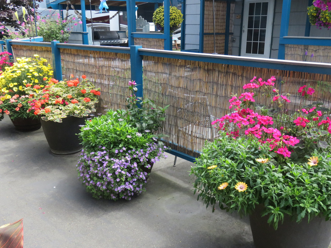 Mermaid Inn & RV Park主图