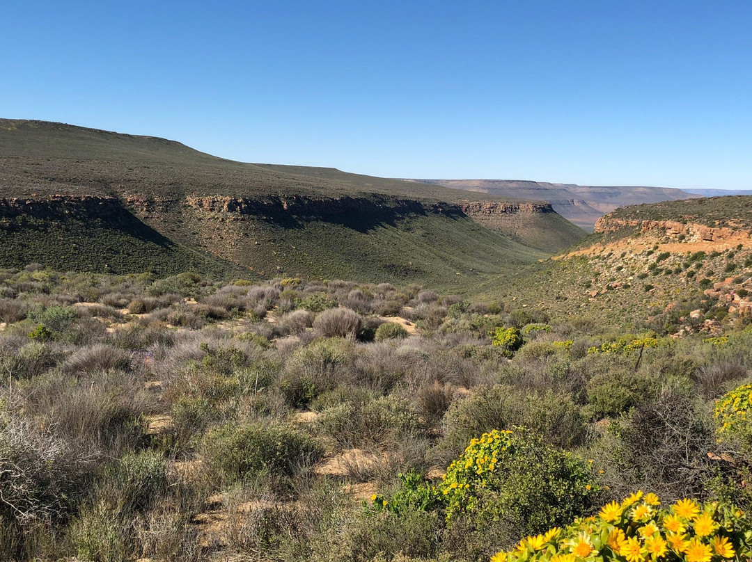 Cederberg Wilderness Area-克兰威廉必去景点