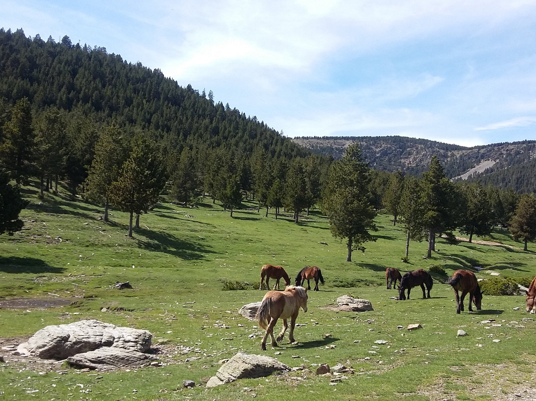 Som Riu-Sort必去景点