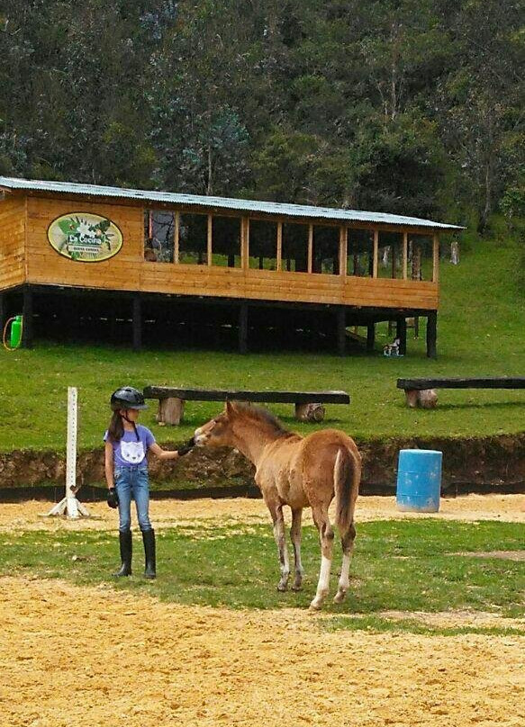 Bosque Ecuestre-Sopo必去景点