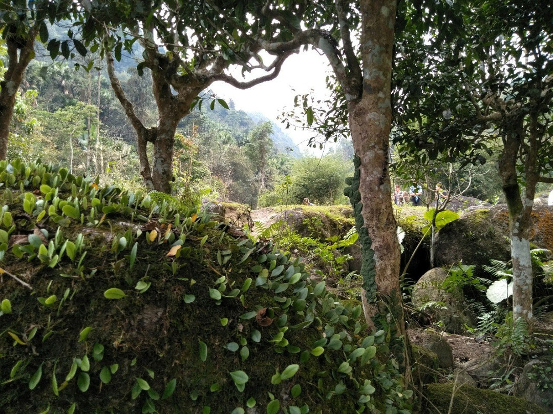 Tea House Of Baiyue Tribes景点图片
