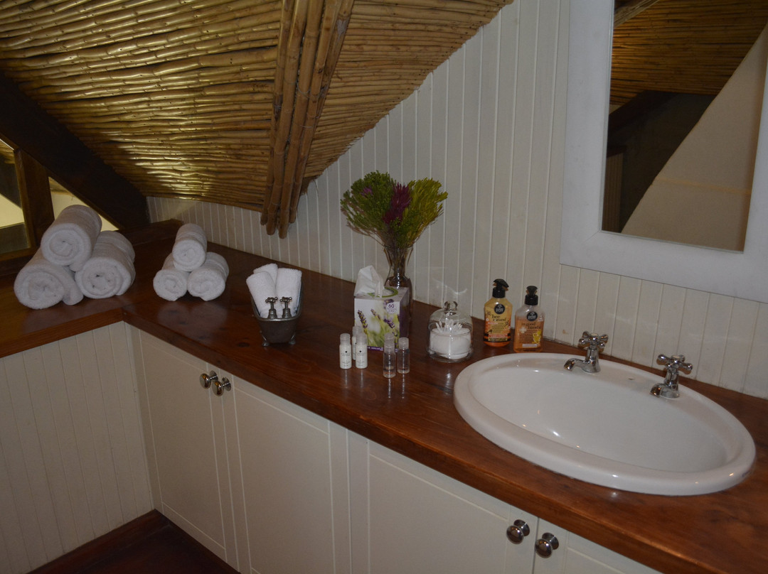 El Gallo Guest Accommodation主图