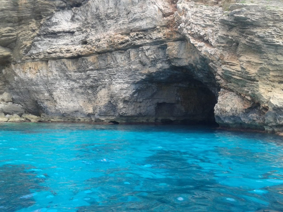 Azul Excursiones-Sa Rapita必去景点