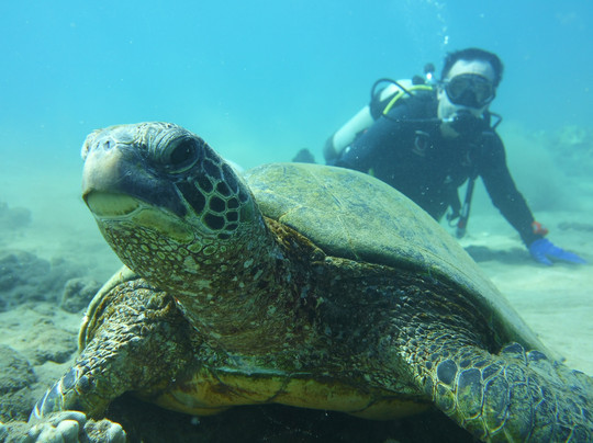 Scuba Barry LLC-维雷亚必去景点