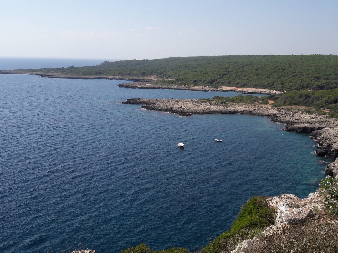 Taviano旅游攻略图片