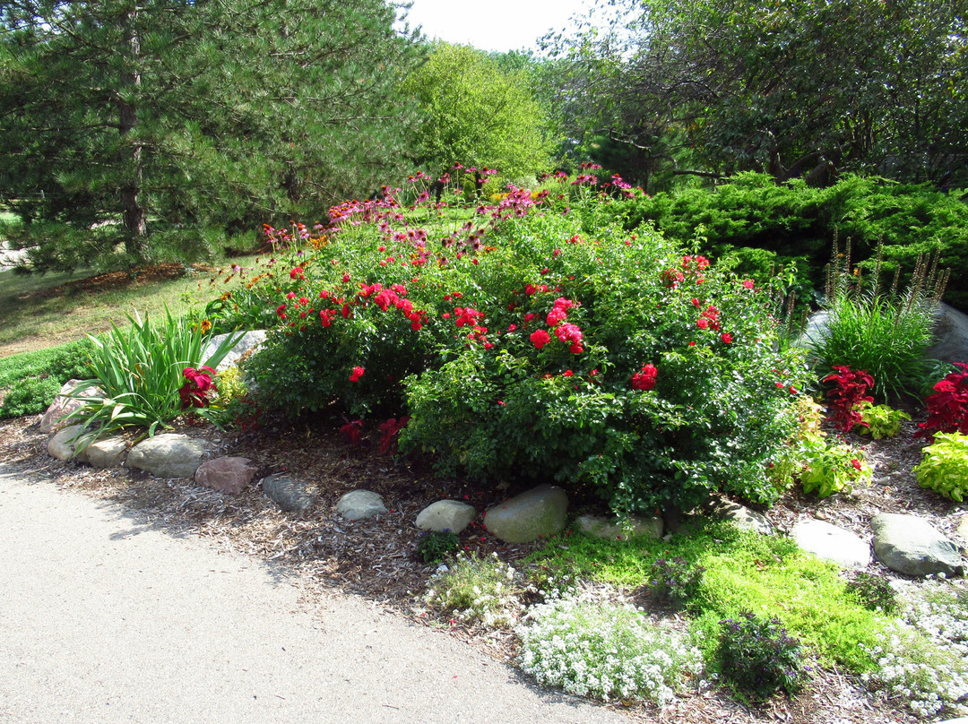 County Farm Park-安娜堡必去景点