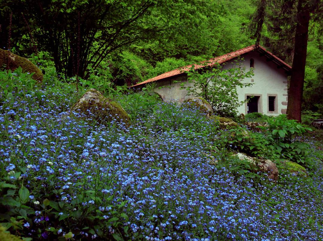 Chiesetta di San Tomè景点图片