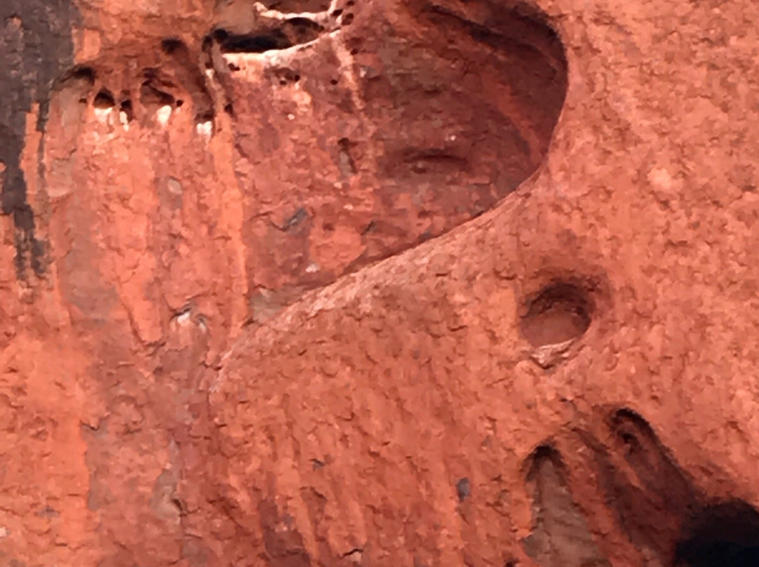 Mutitjulu Waterhole-乌鲁鲁-卡塔丘塔国家公园必去景点