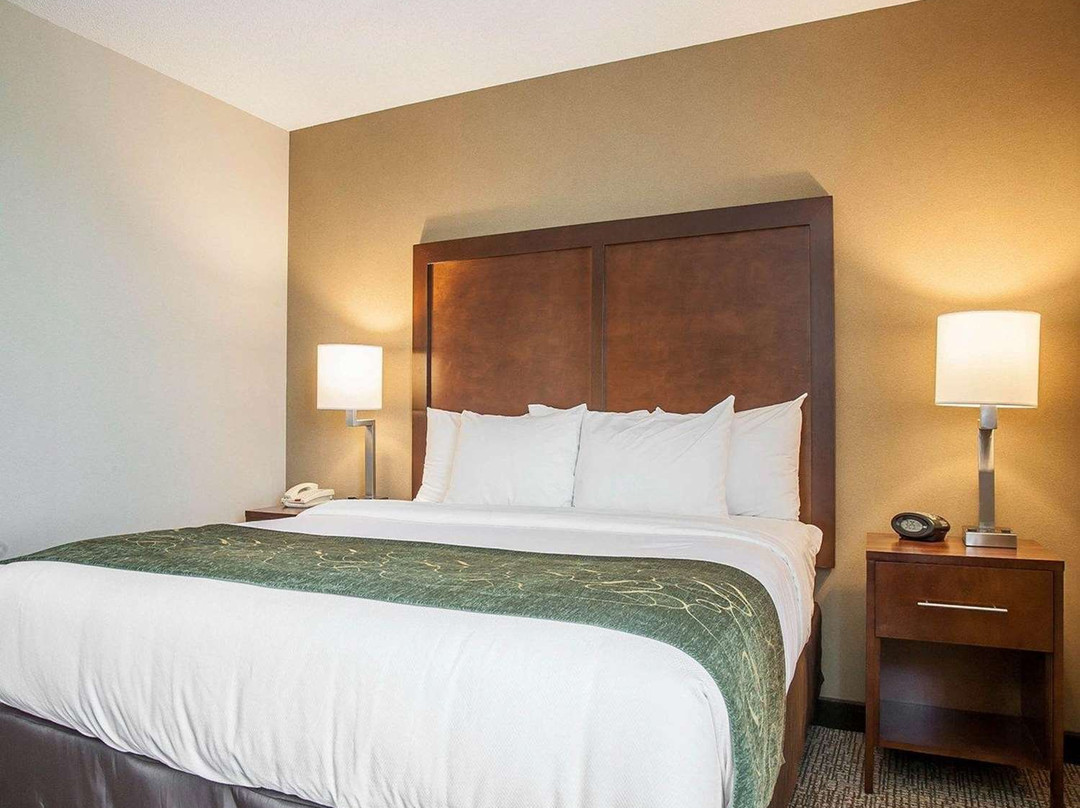 Comfort Suites West Warwick - Providence主图