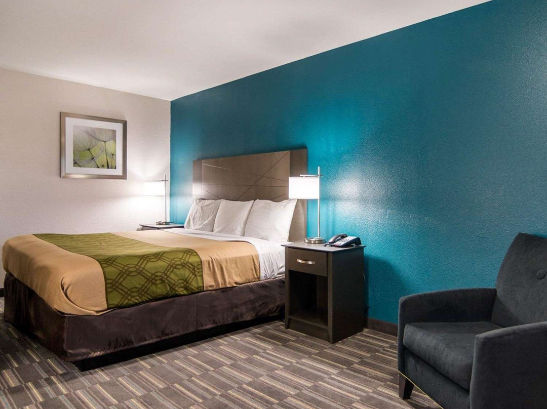 艾康诺小屋主图